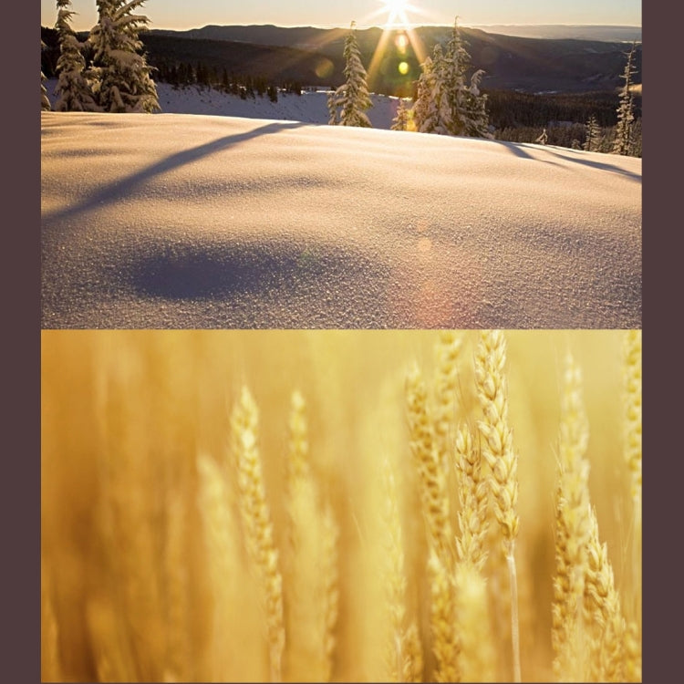 JUNESTAR for Xiaomi Xiaoyi Yi II 4K Sport Action Camera Proffesional HD Slim MCUV Lens Filter, MCUV Lens Filter