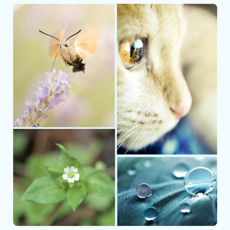 RUIGPRO for GoPro HERO 7/6 /5 Professional 52mm CPL Lens Filter with Filter Adapter Ring & Lens Cap, CPL Lens