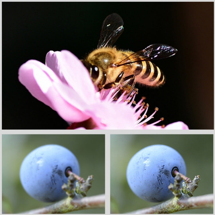 JSR Round Housing 16X Macro Lens Filter for GoPro HERO8 Black, Macro Lens