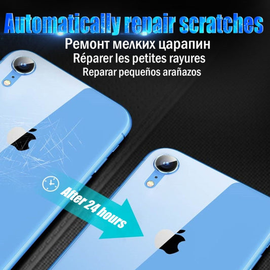 Durable back protector film safeguarding phone surface from daily wear