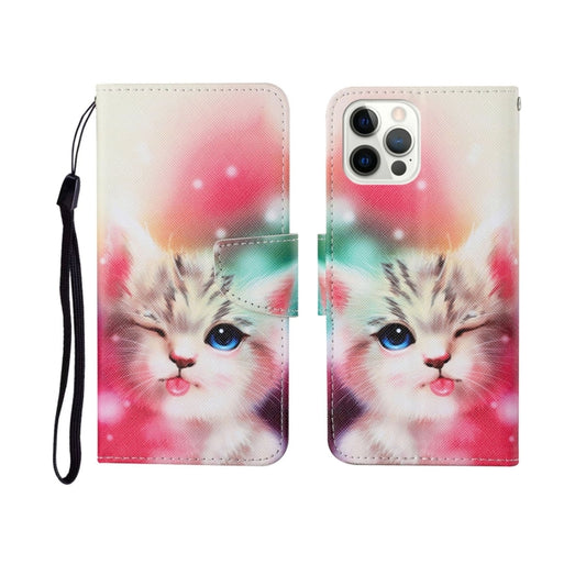 Painted pattern horizontal flip leather case iPhone 12 Pro Max front display