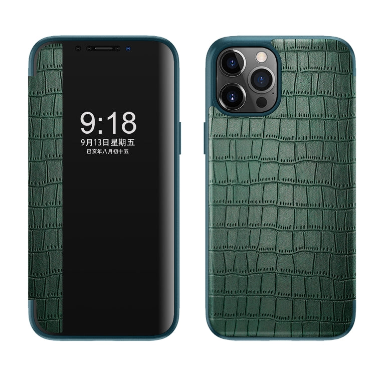 Crocodile Texture Display Window Horizontal Flip Leather Case, For iPhone 11