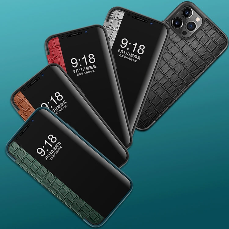 Crocodile Texture Display Window Horizontal Flip Leather Case, For iPhone 11