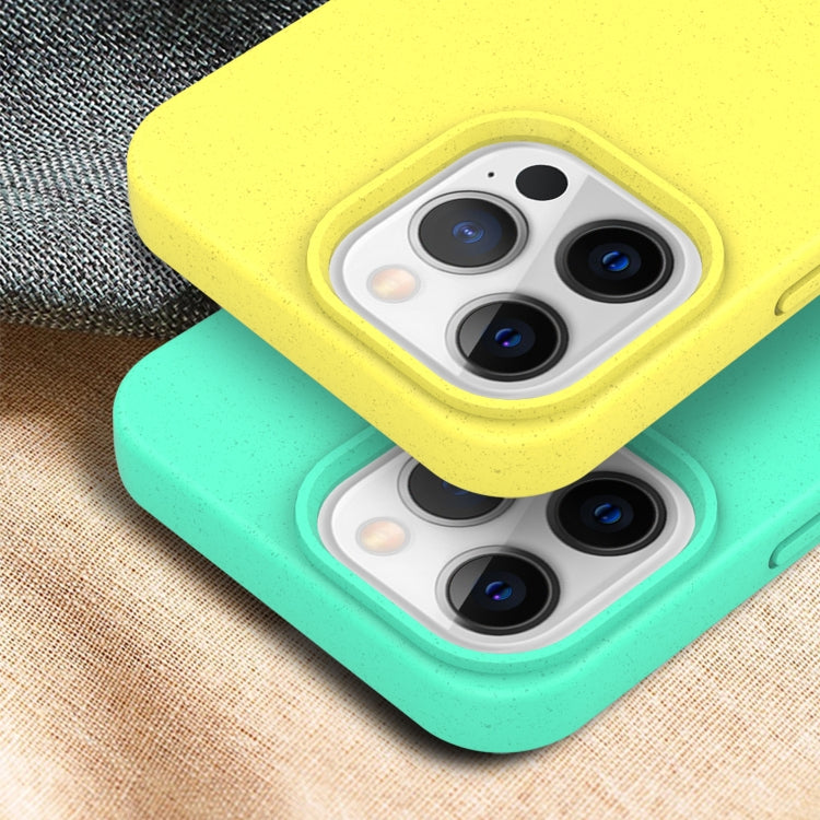 Starry Series Shockproof Straw Material + TPU Protective Case, For iPhone 13