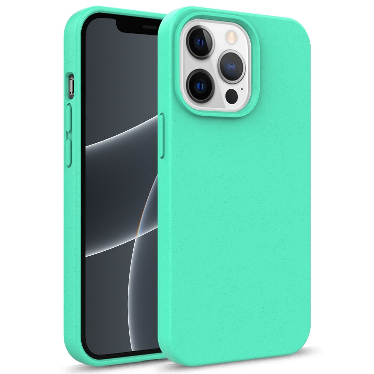 Starry Series Shockproof Straw Material + TPU Protective Case, For iPhone 13 Pro