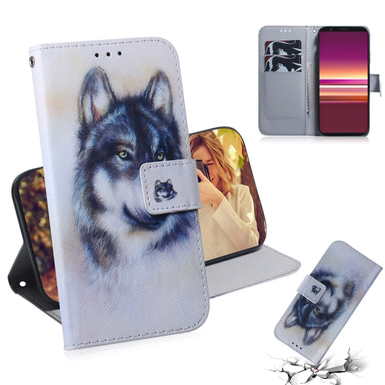 Coloured Drawing Pattern Horizontal Flip PU Leather Case with Holder & Card Slots & Wallet, For Sony Xperia 5, For Sony Xperia 20