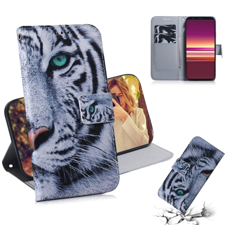 Coloured Drawing Pattern Horizontal Flip PU Leather Case with Holder & Card Slots & Wallet, For Sony Xperia 5, For Sony Xperia 20