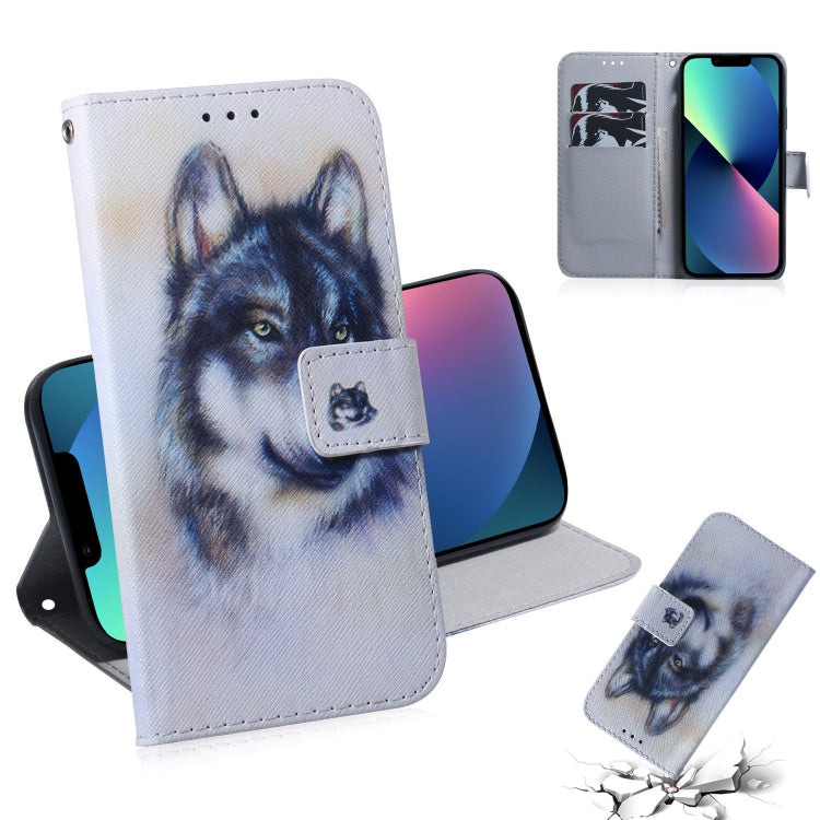 Coloured Drawing Horizontal Flip Leather Case, with Holder & Card Slots & Wallet, For iPhone 13 mini, For iPhone 13