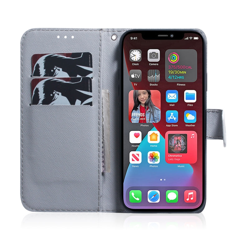 Coloured Drawing Horizontal Flip Leather Case, with Holder & Card Slots & Wallet, For iPhone 13 Pro, For iPhone 13 Pro Max