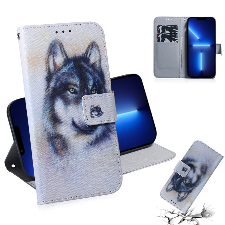 Coloured Drawing Horizontal Flip Leather Case, with Holder & Card Slots & Wallet, For iPhone 13 Pro, For iPhone 13 Pro Max