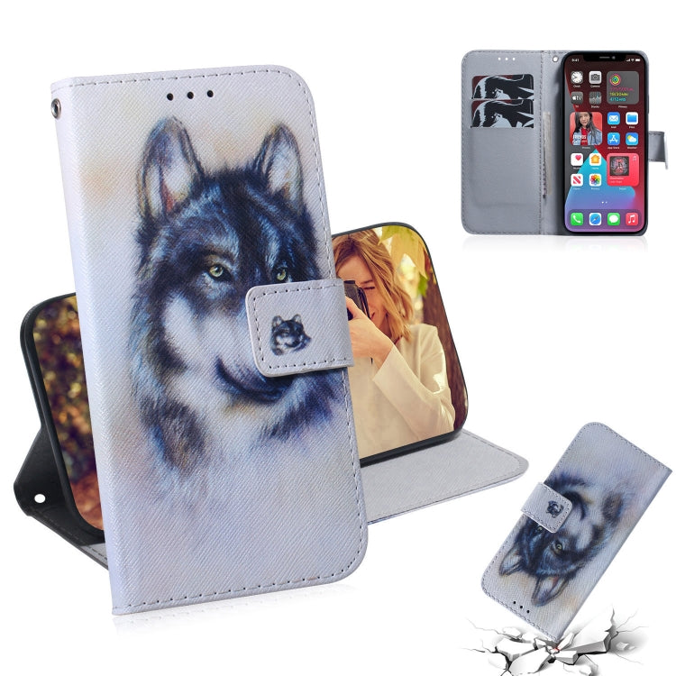 Coloured Drawing Horizontal Flip Leather Case, with Holder & Card Slots & Wallet, For iPhone 13 Pro, For iPhone 13 Pro Max