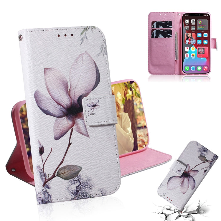 Coloured Drawing Horizontal Flip Leather Case, with Holder & Card Slots & Wallet, For iPhone 13 Pro, For iPhone 13 Pro Max