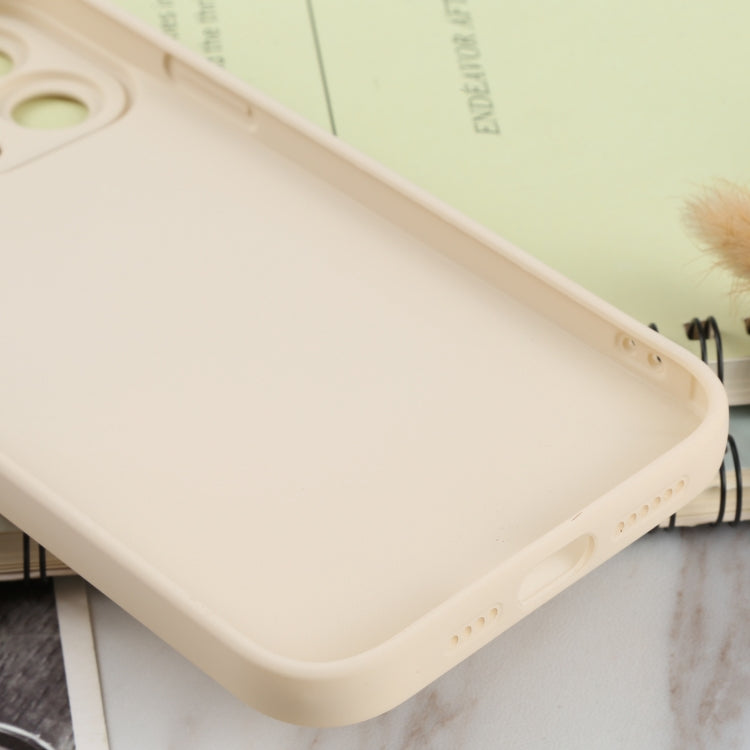 Coque souple en TPU huilée pour iPhone 13 Pro Max