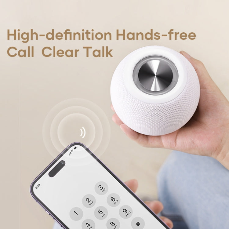 ROCK RAU0758 Portable Bluetooth Speaker, ROCK RAU0758