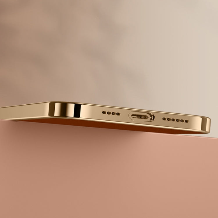 Litchi Texture Genuine Leather Phone Case, For iPhone 12, For iPhone 12 Pro Max, For iPhone 12 Pro