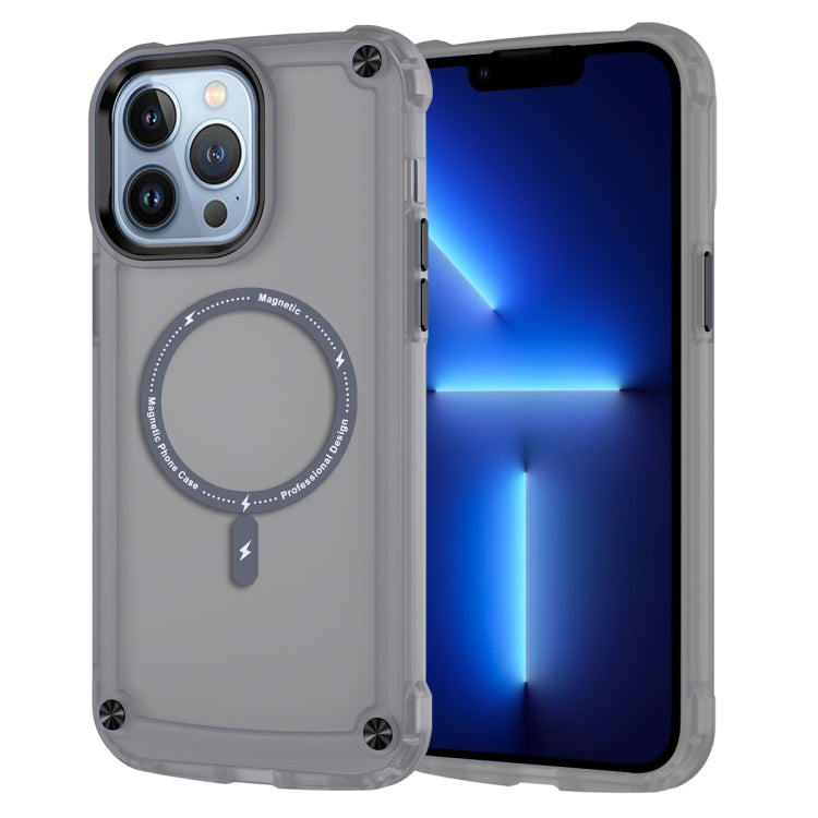 Skin Feel TPU + PC MagSafe Magnetic Phone Case, For iPhone 11 Pro Max, For iPhone 11, For iPhone 11 Pro
