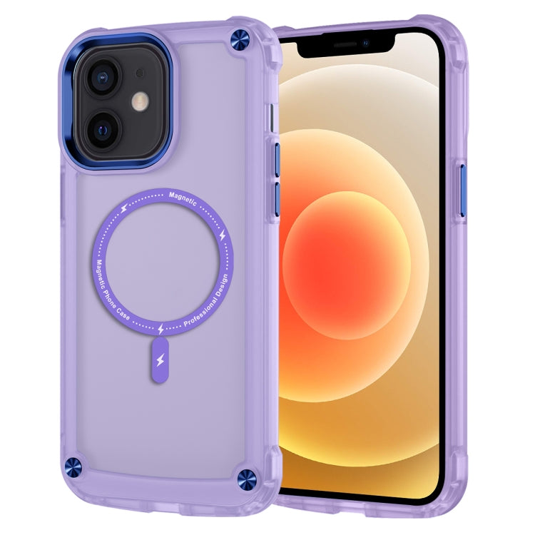 Skin Feel TPU + PC MagSafe Magnetic Phone Case, For iPhone 11 Pro Max, For iPhone 11, For iPhone 11 Pro