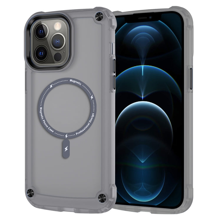 Skin Feel TPU + PC MagSafe Magnetic Phone Case, For iPhone 11 Pro Max, For iPhone 11, For iPhone 11 Pro