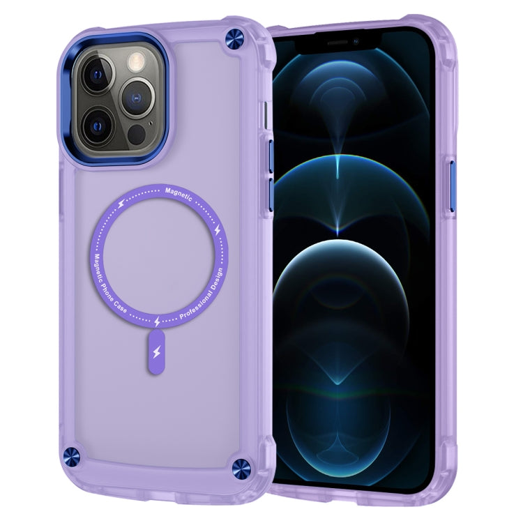 Skin Feel TPU + PC MagSafe Magnetic Phone Case, For iPhone 11 Pro Max, For iPhone 11, For iPhone 11 Pro