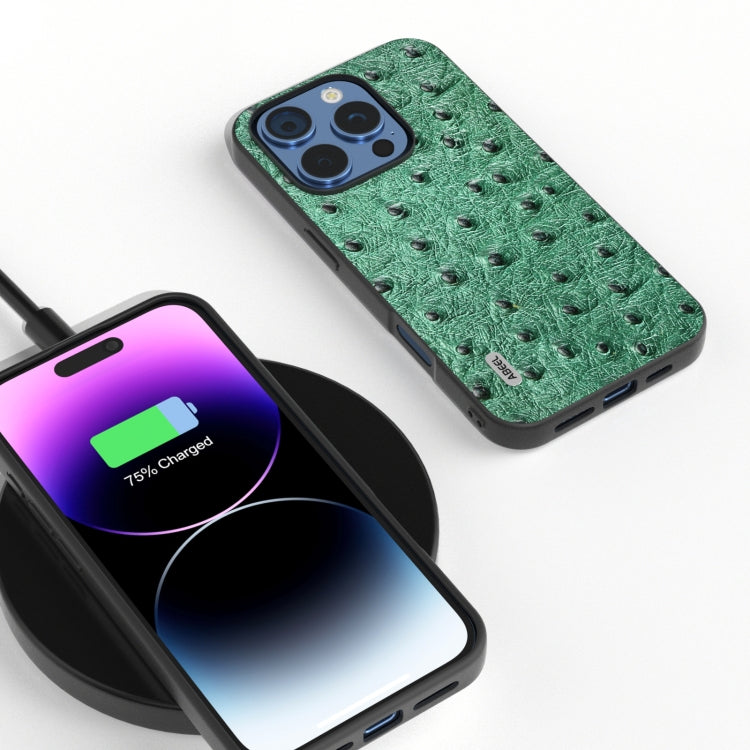 ABEEL Genuine Leather Ostrich Texture Phone Case, For iPhone 16 Pro Max, For iPhone 16 Pro, For iPhone 16 Plus, For iPhone 16, For iPhone 15 Pro Max, For iPhone 15 Pro