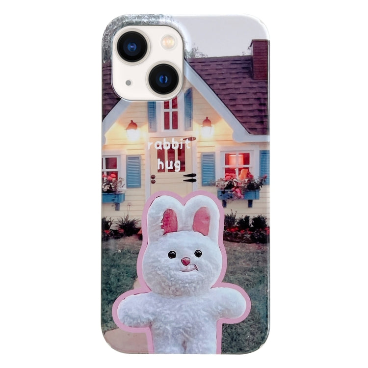 Painted Pattern PC Phone Case, For iPhone 13