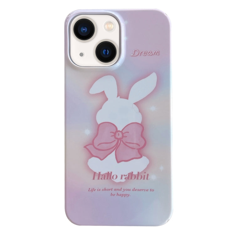 Painted Pattern PC Phone Case, For iPhone 13