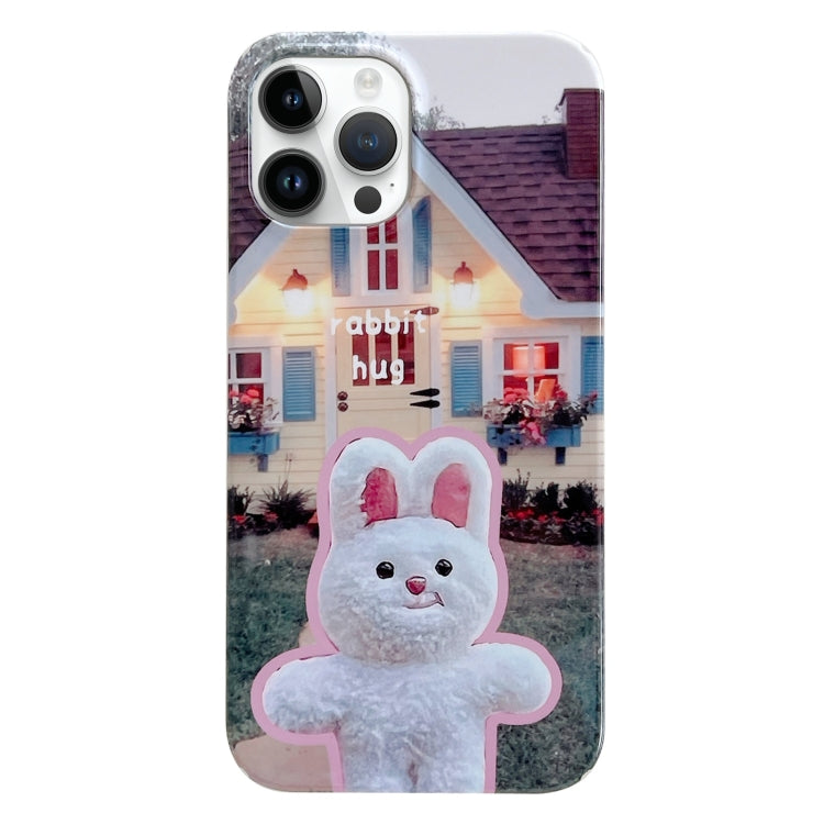 Painted Pattern PC Phone Case, For iPhone 13 Pro