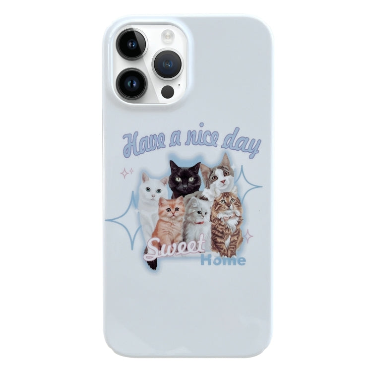 Painted Pattern PC Phone Case, For iPhone 13 Pro
