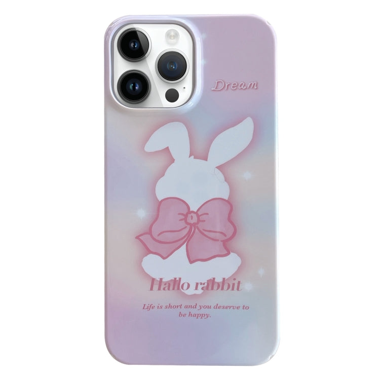 Painted Pattern PC Phone Case, For iPhone 13 Pro