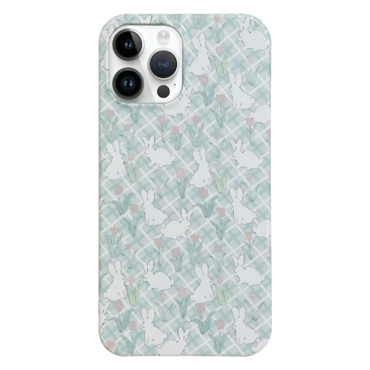 Painted Pattern PC Phone Case, For iPhone 13 Pro Max