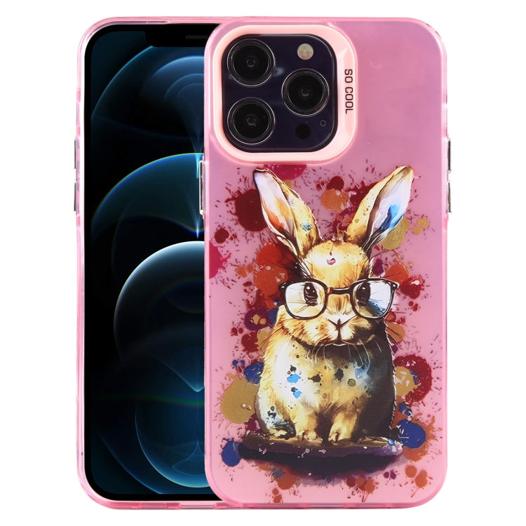 Animal Pattern PC Phone Case, For iPhone 13, For iPhone 12, For iPhone 12 Pro Max
