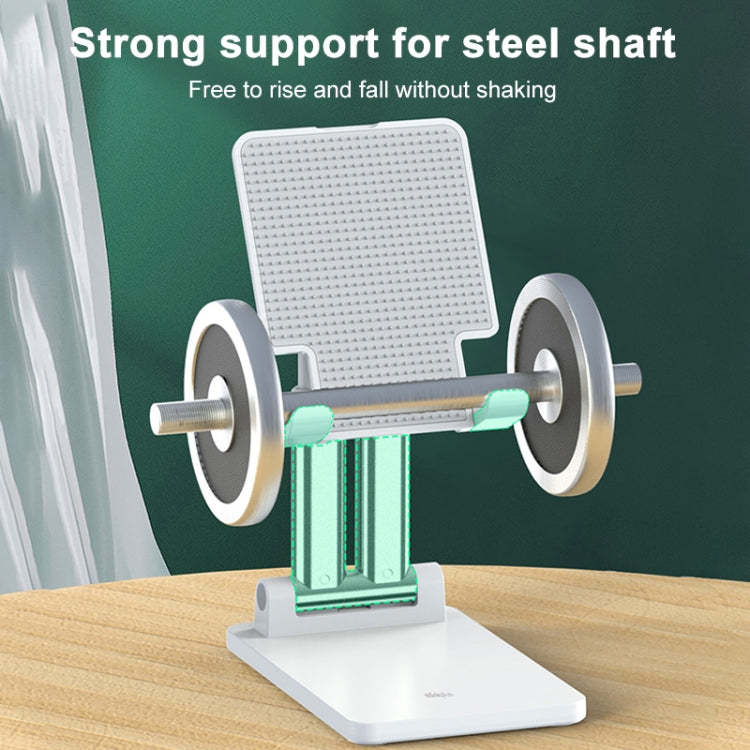 Lenovo Thinkplus Desktop Tablet PC Holder E202, E202