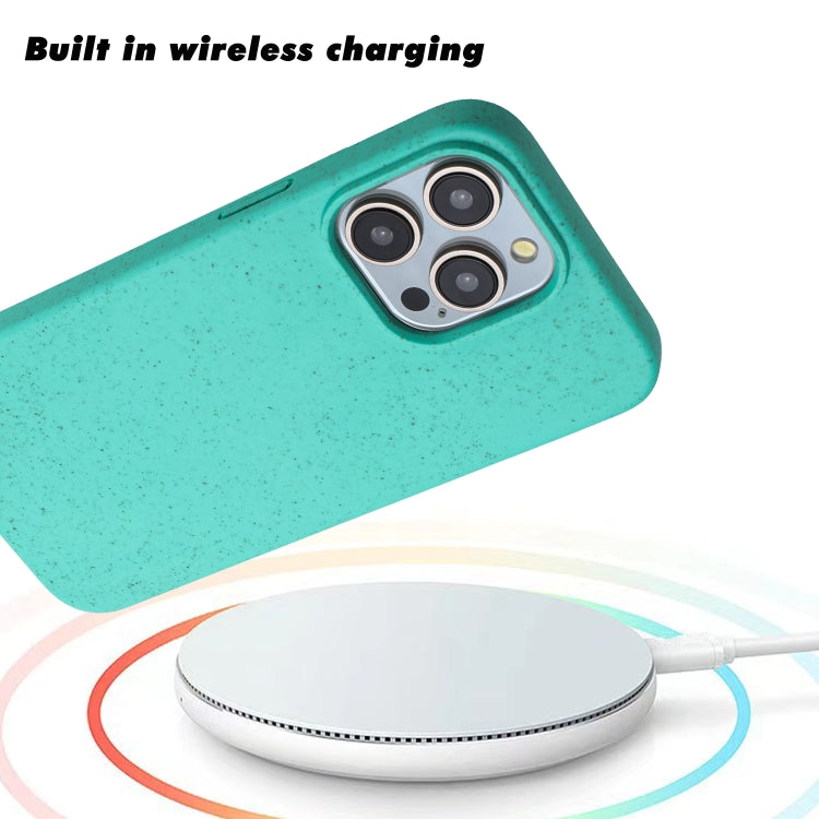 Wheat MagSafe Magnetic Straw Material + TPU Phone Case, For iPhone 15 Pro Max, For iPhone 15 Pro, For iPhone 15 Plus