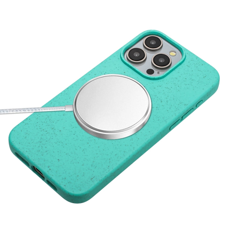 Wheat MagSafe Magnetic Straw Material + TPU Phone Case with Lanyard, For iPhone 15 Pro Max, For iPhone 15 Pro, For iPhone 15 Plus