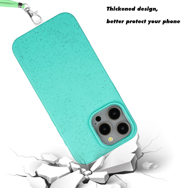 Wheat MagSafe Magnetic Straw Material + TPU Phone Case with Lanyard, For iPhone 15 Pro Max, For iPhone 15 Pro, For iPhone 15 Plus