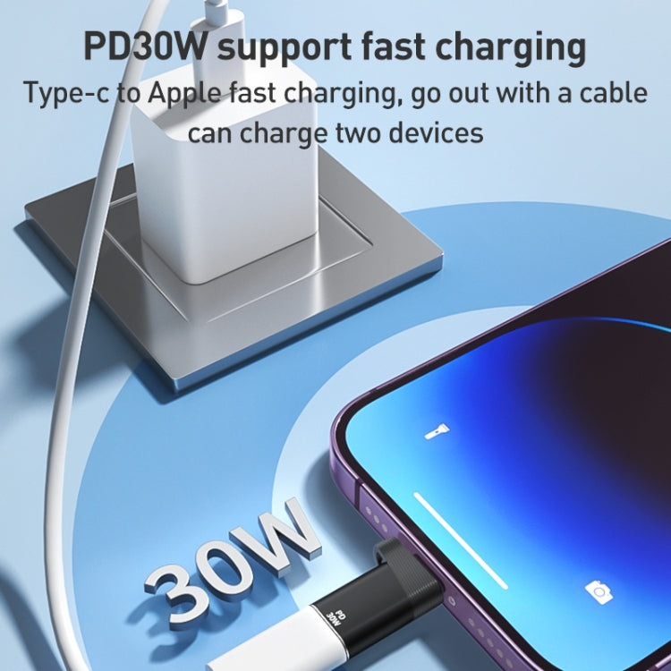 ADS-616B 8 Pin Male to USB-C/Type-C Female OTG Adapter, ADS-616B