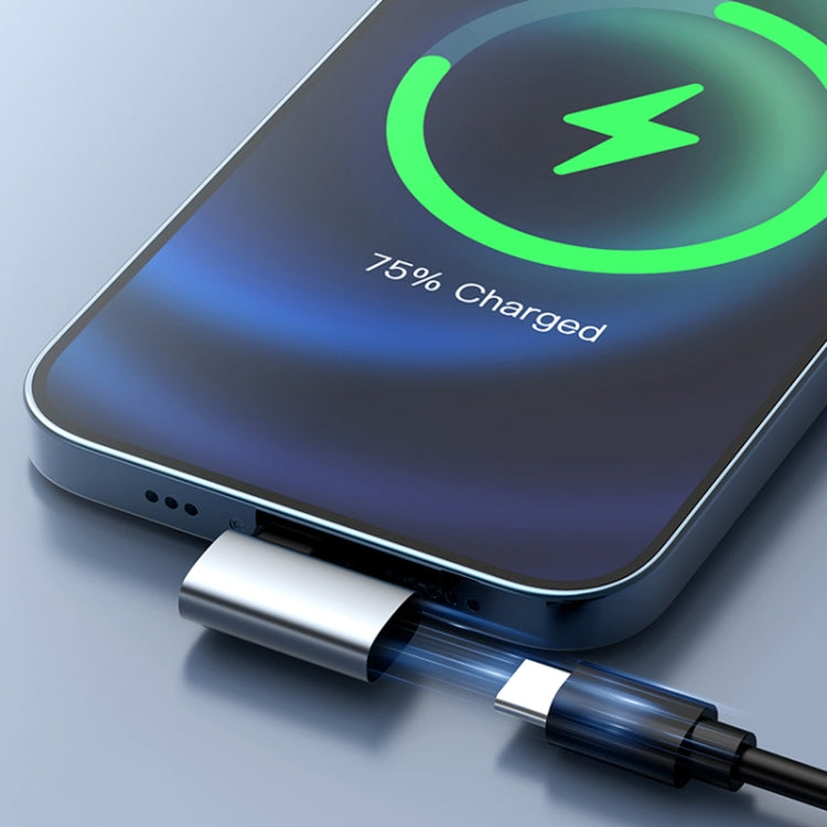 60W USB-C/Type-C to 8 Pin Female Charging Transfer Adapter, Type-C to 8 Pin