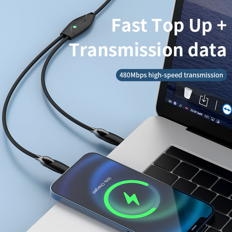 Câble de données de charge rapide USB-C/Type-C vers USB-C/Type-C + 8 broches 1,2 m 100 W, 1,2 m 100 W