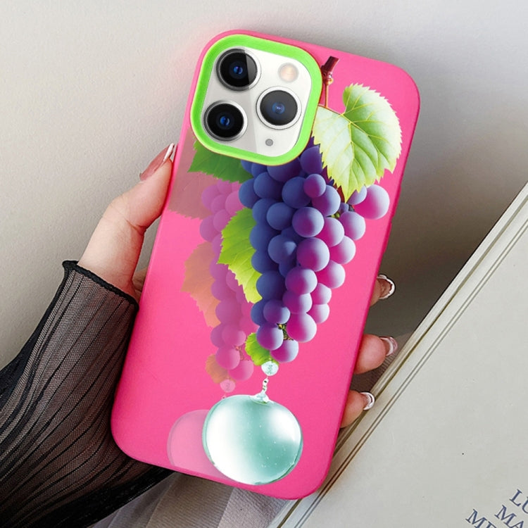 Grape Pattern PC Hybrid TPU Phone Case, For iPhone 11 Pro, For iPhone X / XS, For iPhone XR