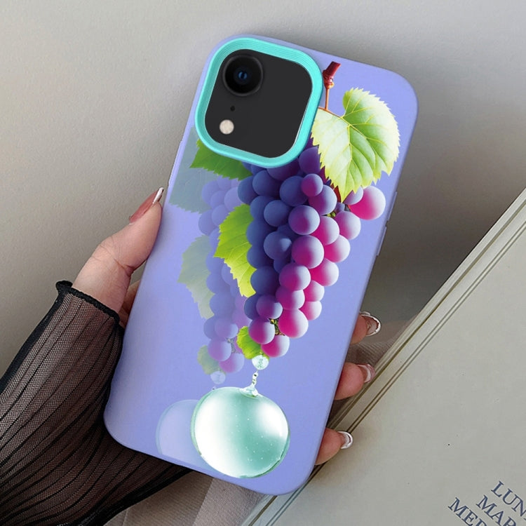 Grape Pattern PC Hybrid TPU Phone Case, For iPhone 11 Pro, For iPhone X / XS, For iPhone XR
