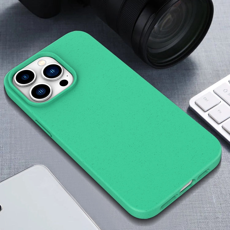 Wheat Straw TPU Phone Case, For iPhone 17e / 16e, For iPhone 17 Pro Max, For iPhone 17 Pro