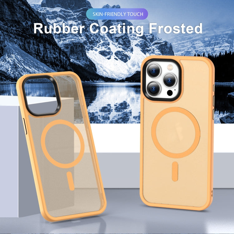 MagSafe Magnetic Skin Feel Frosted Phone Case