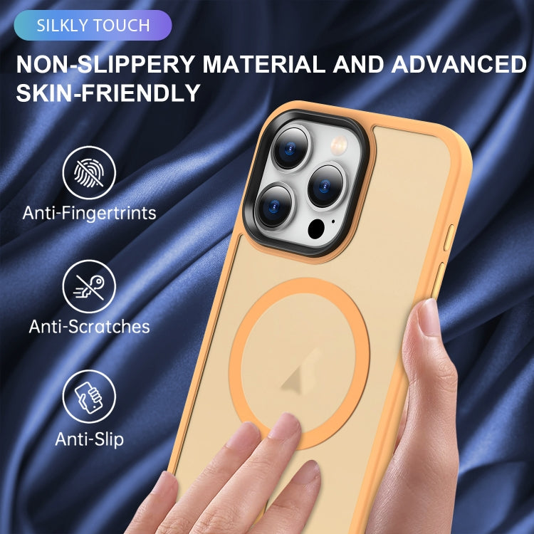 MagSafe Magnetic Skin Feel Frosted Phone Case