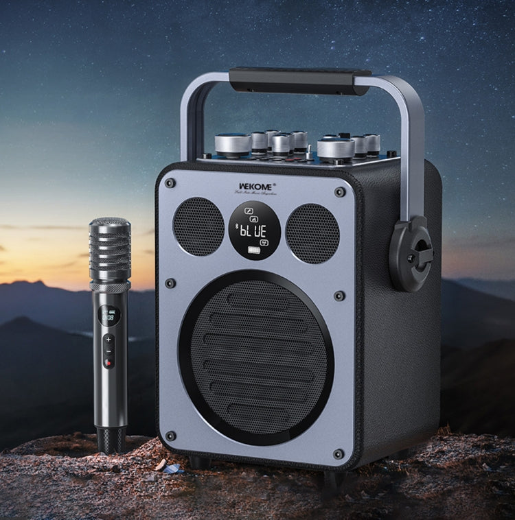 WK Beluga D7 Conductor HiFi Outdoor Portable Bluetooth Speaker, D7  (Black)