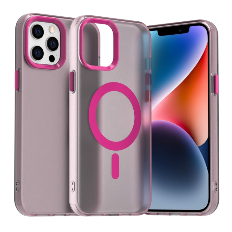Candy Magsafe PC Hybrid TPU Phone Case, For iPhone 11, For iPhone 11 Pro