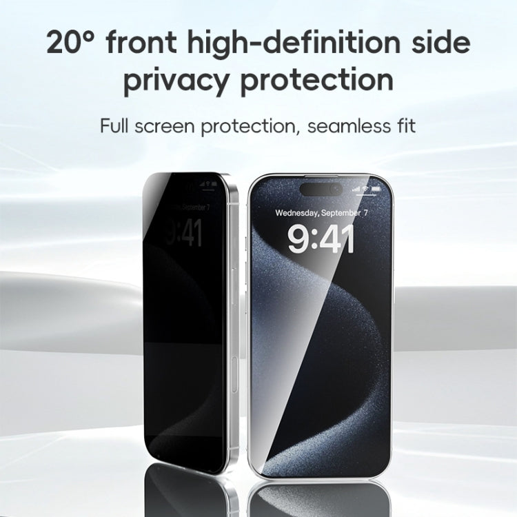 ZGA 0.33mm 2.5D Anti-static Privacy Tempered Glass Film, For iPhone 16 Pro Max, For iPhone 16 Pro, For iPhone 16 Plus, For iPhone 16