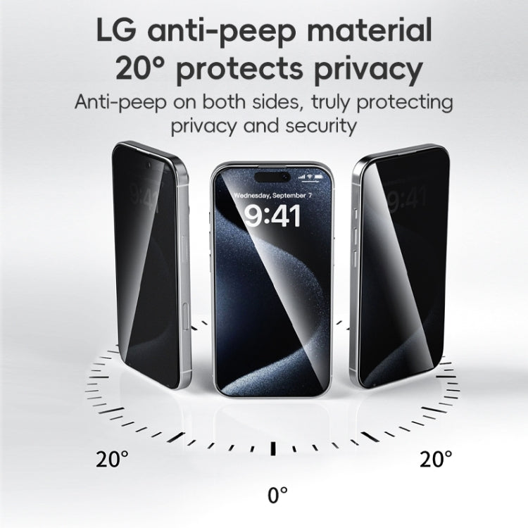 ZGA 0.33mm 2.5D Anti-static Privacy Tempered Glass Film, For iPhone 16 Pro Max, For iPhone 16 Pro, For iPhone 16 Plus, For iPhone 16