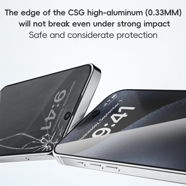 ZGA 0.33mm 2.5D Anti-static Privacy Tempered Glass Film, For iPhone 16 Pro Max, For iPhone 16 Pro, For iPhone 16 Plus, For iPhone 16