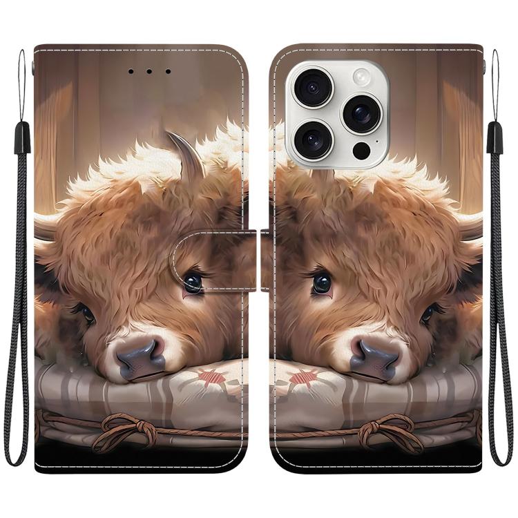 Crystal Texture Colored Drawing Leather Phone Case, For iPhone 16 Pro, For iPhone 16 Plus