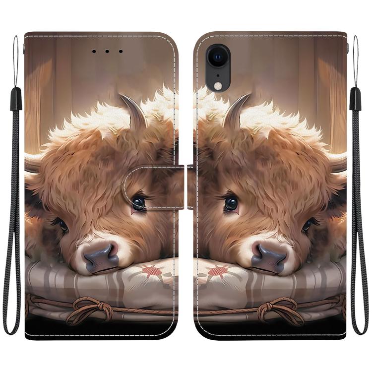 Crystal Texture Colored Drawing Leather Phone Case, For iPhone X / XS, For iPhone XR